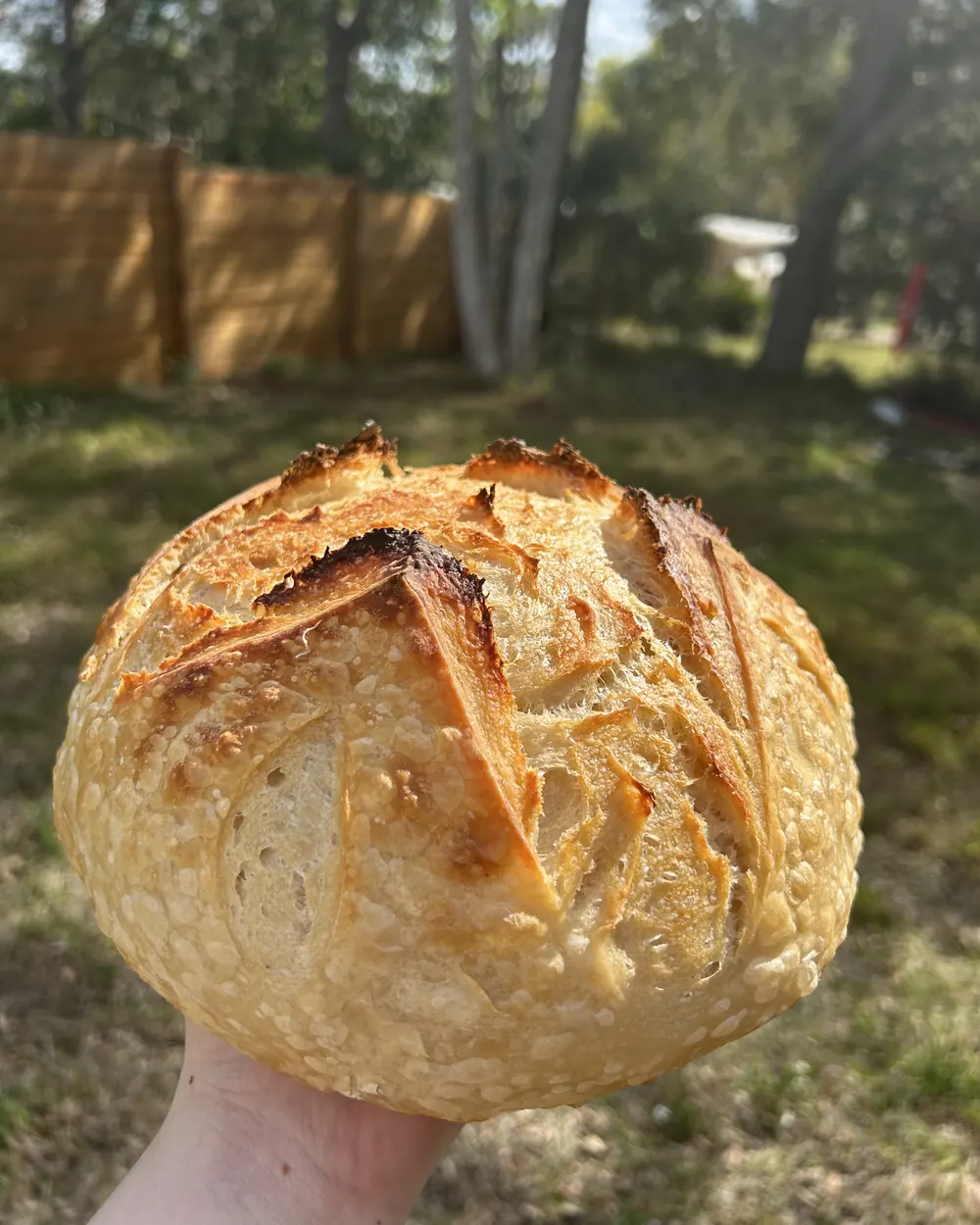 A golden, deeply scored sourdough loaf held up outdoors