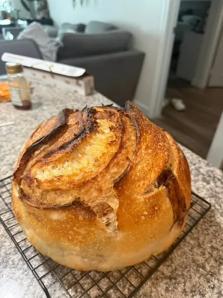 A dark, crackly sourdough loaf a student baked at home